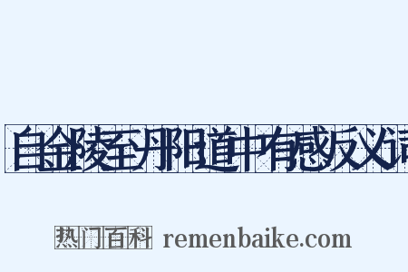 自金陵至丹阳道中有感反义词是什么意思的图片